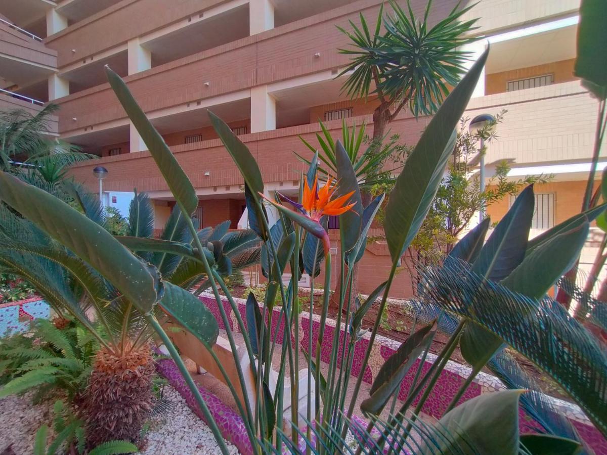 Ferienwohnung Acv - Costa Caribe I-2ª Linea Planta 1 Sur Oropesa del Mar Exterior foto